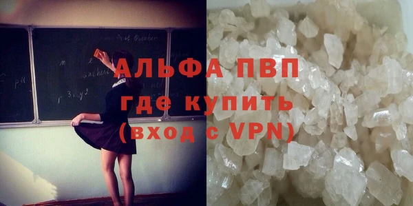 СК Белокуриха
