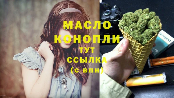мдпв Няндома