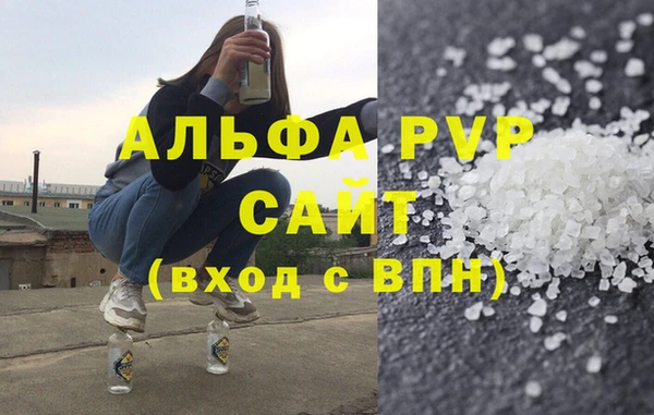 стаф Богданович