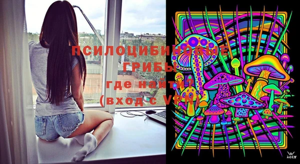мескалин Богородицк