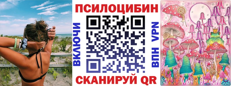 закладки  Кирово-Чепецк  Галлюциногенные грибы мицелий 
